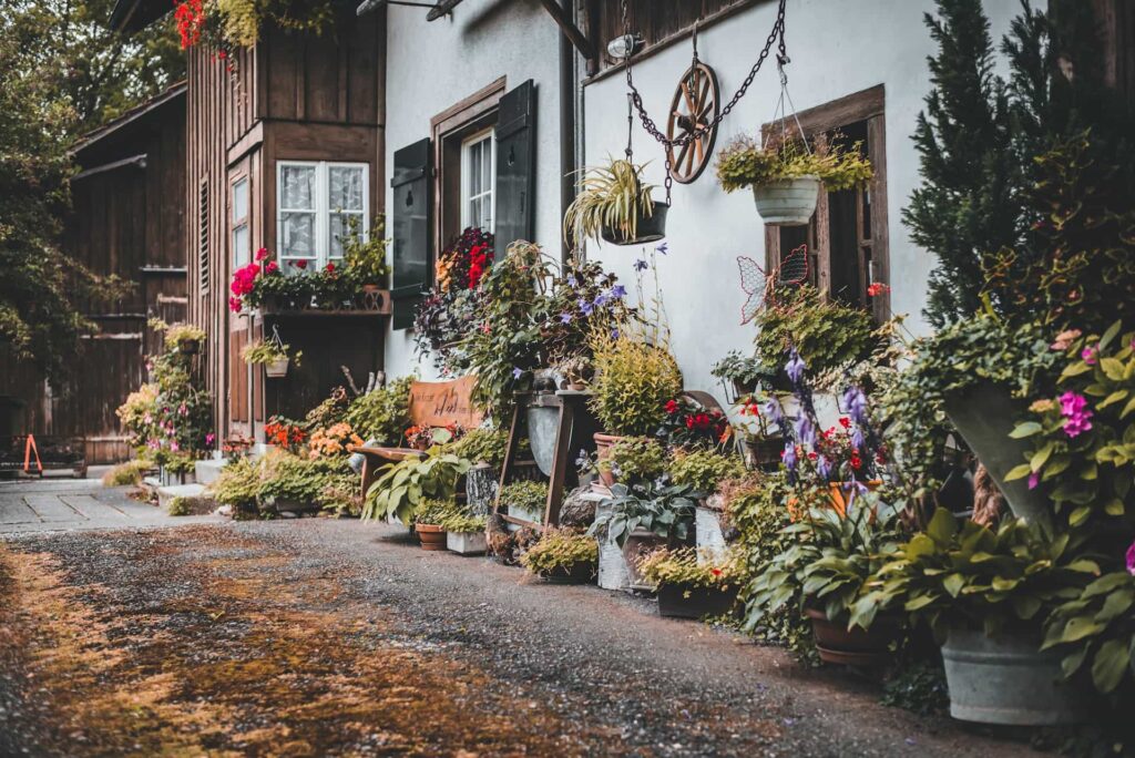 trädgård med djur